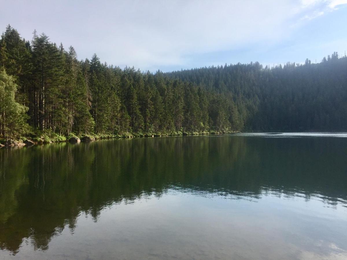 Apartman “U Nas V Podkrovi“ V Rezidenci Klostermann, Zelezna Ruda 24 Luaran gambar